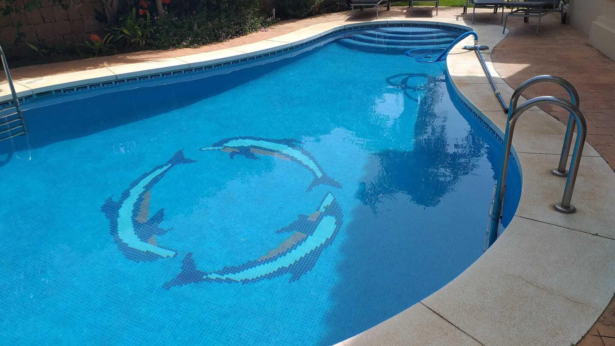 En swimmingpool med et mosaikdesign af en delfin, en metalstige og en patio med udendørs møbler.