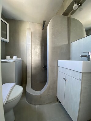 Suite estudio tradicional | Baño | Regadera y toallas 
