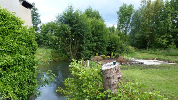 A serene garden with a pond, lush greenery, and a wooden stump with a green object on top.
