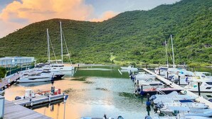 A marina with boats docked, surrounded by lush green hills. - Marina Beach 1, entre la plage et la marina (Anse Marcel)
