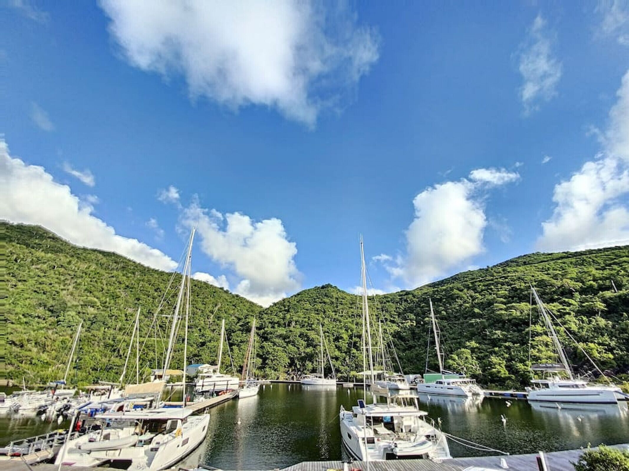 Un port de plaisance où sont amarrés de nombreux voiliers, entouré de collines verdoyantes sous un ciel bleu dégagé.