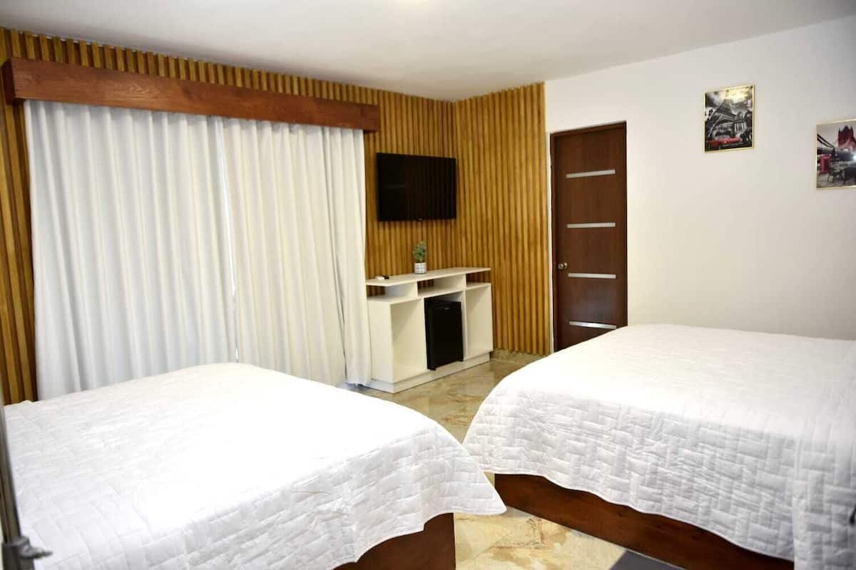Habitación de hotel con dos camas, un televisor en la pared, un escritorio pequeño con una planta y una puerta.