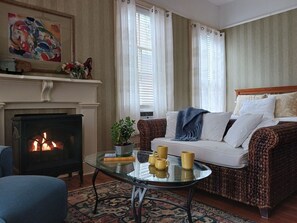TV, fireplace, books