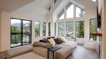 TV, fireplace, Netflix, streaming services