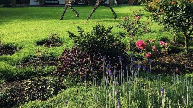 A building with a red facade and a horse sculpture in the garden. - Hotel Boutique Finca de la Niebla Coatepec (Tlalnelhuayocan)