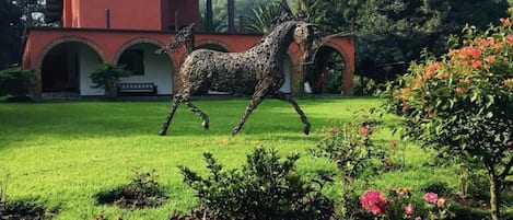 Paseos a caballo