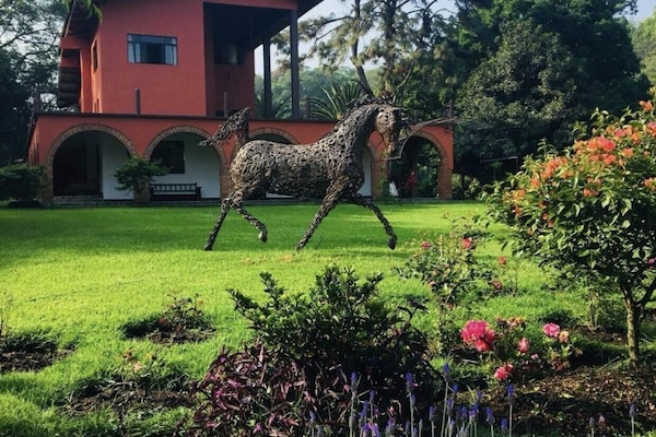 Paseos a caballo