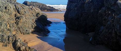 Playa en los alrededores y camastros
