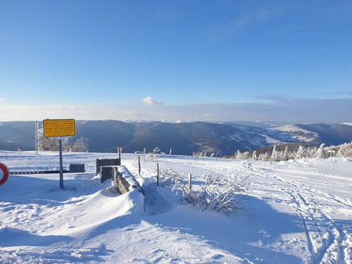 Skis and walks at the rendezvous, the snow is back in the Hautes Vosges