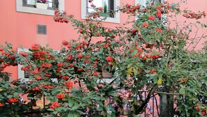 A pink building with three windows, each with a balcony. - Brand new apartment in the heart of Udine (Udine)