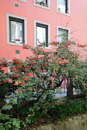 Detalle exterior