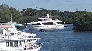 Vista desde la propiedad
