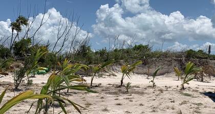 Welcome to the Sandbox! Neat and Cozy one bedroom centrally located oceanside!