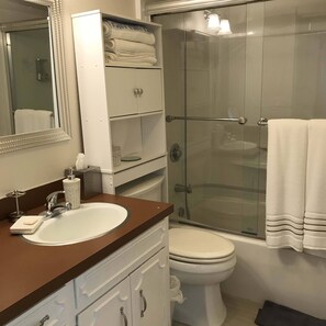 Bathtub, hair dryer, towels