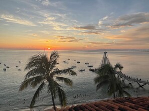 Beach/ocean view