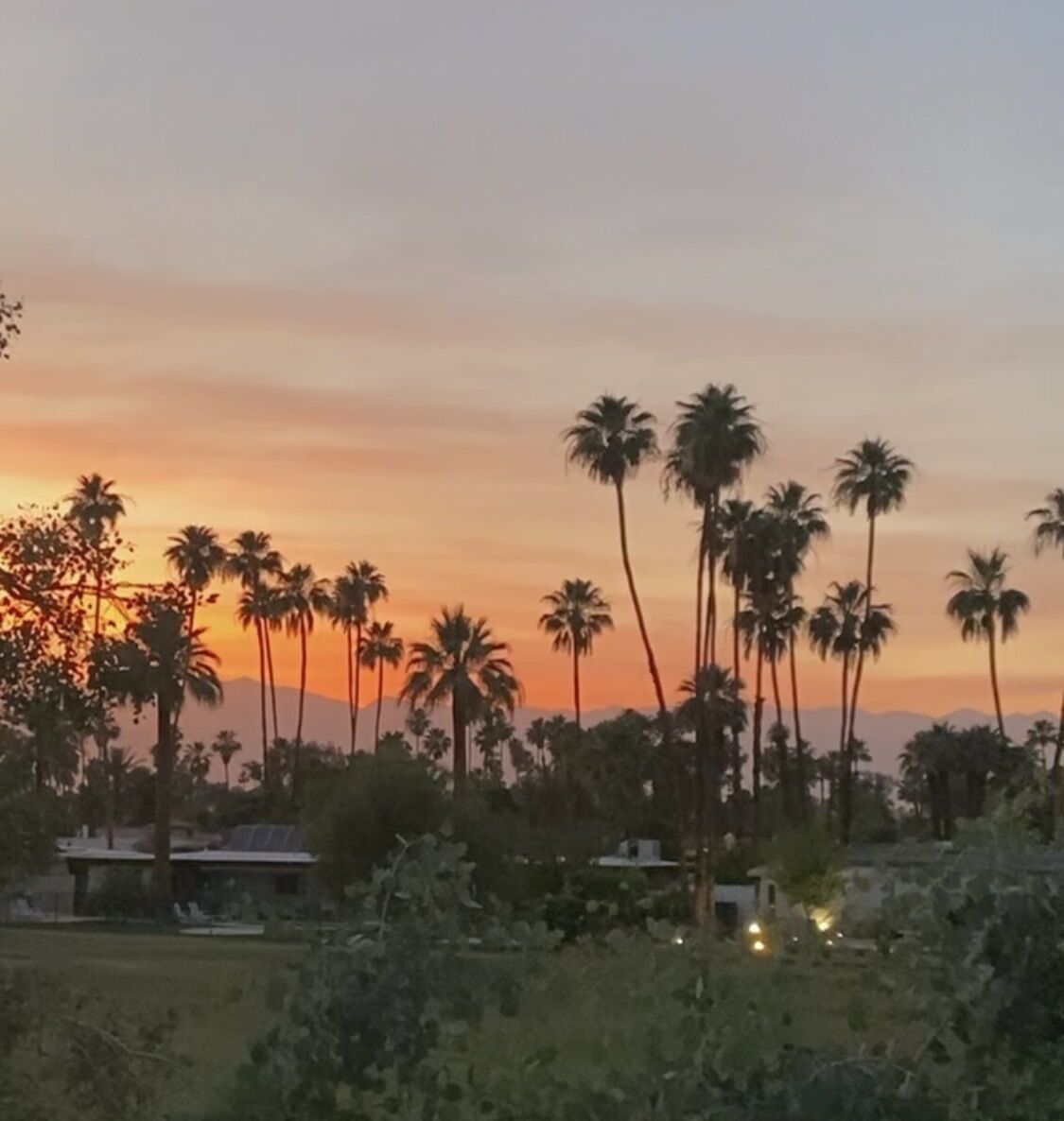 Panorama al tramonto con palme alte e una catena montuosa in lontananza.