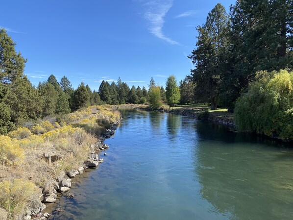 Ein Fluss mit klarem Wasser, umgeben von dichtem Baumbestand und Sträuchern.