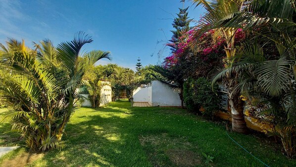 A lush garden with palm trees, a white building, and vibrant pink flowers. - Hermosa Villa Hospedaje (Huanchaco)