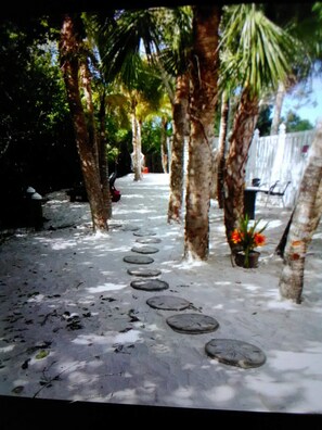 Property grounds - PIRATES TREASURE (Nokomis)