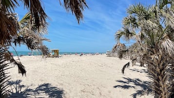 Une plage bordée de palmiers, avec une tour de surveillance pour les sauveteurs et des parasols.