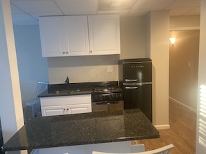 Fridge, microwave, oven, stovetop - Modern Basement APT min from Infinite Energy CENTER (Lilburn)