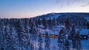A snow-covered landscape with a building featuring large windows and a flat roof, surrounded by tall pine trees.