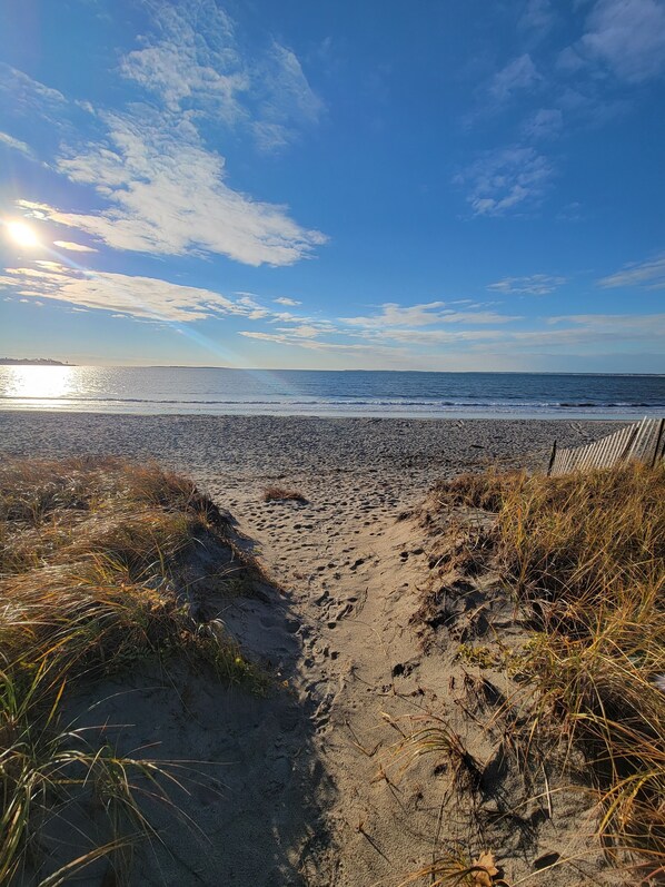 Beach nearby, sun loungers, beach towels - Charming Cottage Steps to Pine Point Bch - 1 mile OOB outside Scarborough w/ AC (Scarborough)