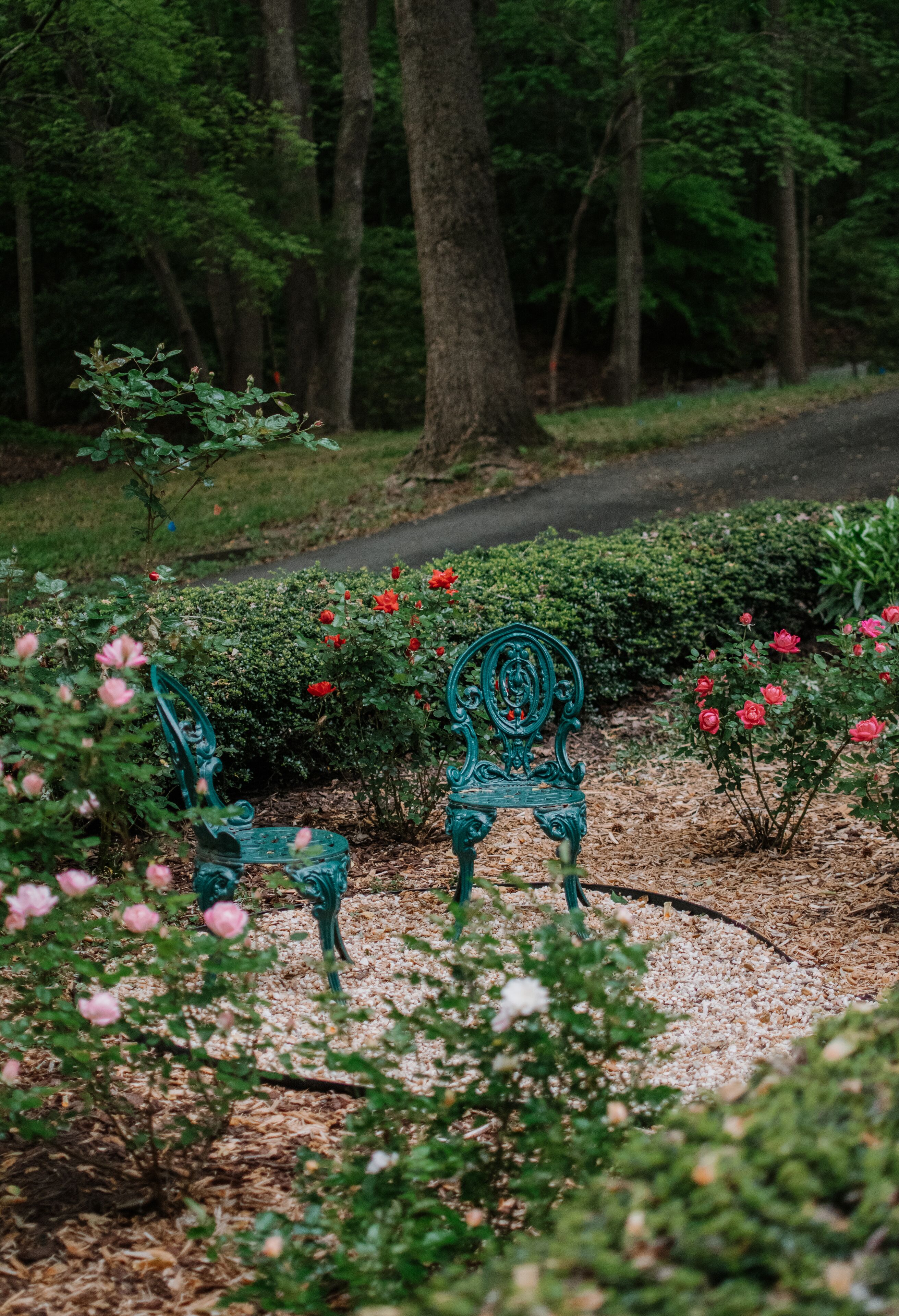 Un banco en un jardín rodeado de árboles y flores rojas y rosas.