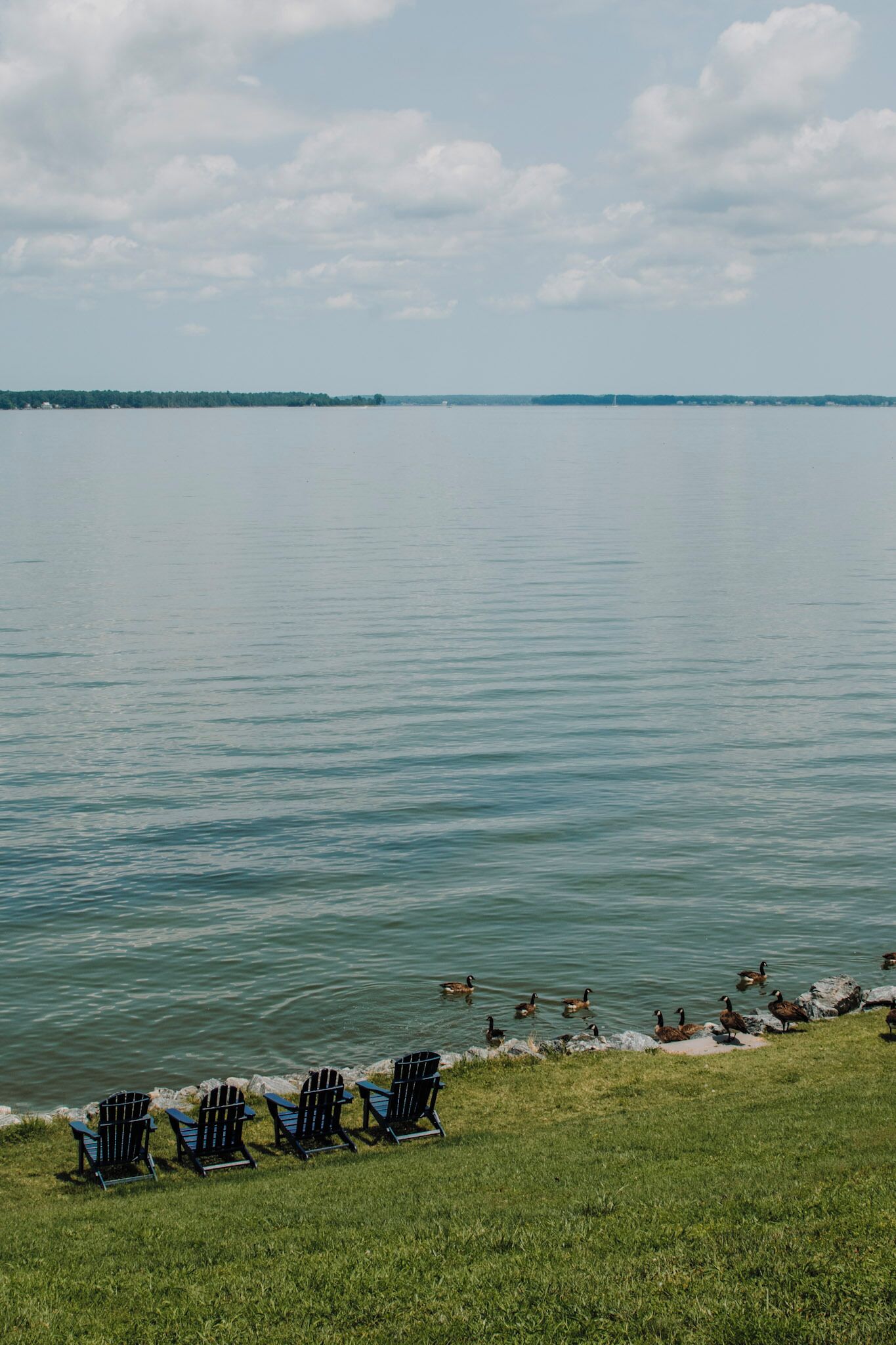Une vue sur le lac, avec des chaises sur la pelouse et des canards dans l’eau.