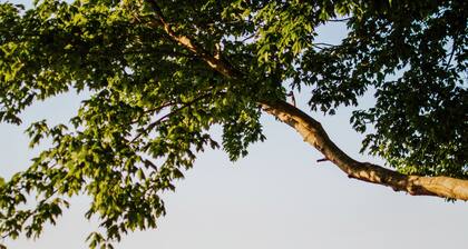 Charming Rappahannock Waterfront Cottage Pool, Fireplace, Kayaks