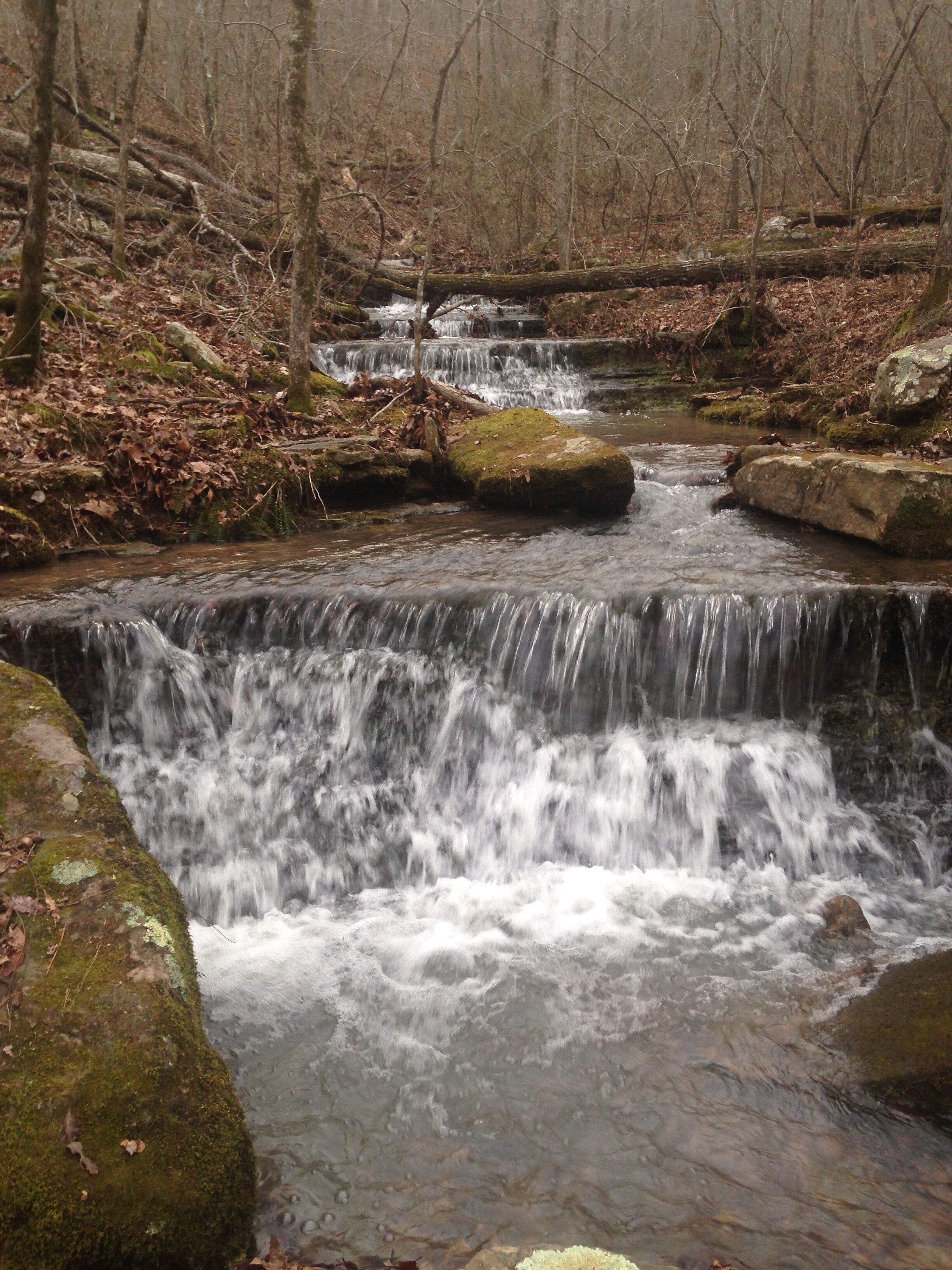 A natural waterfall in a forested area with rocks and fallen leaves.