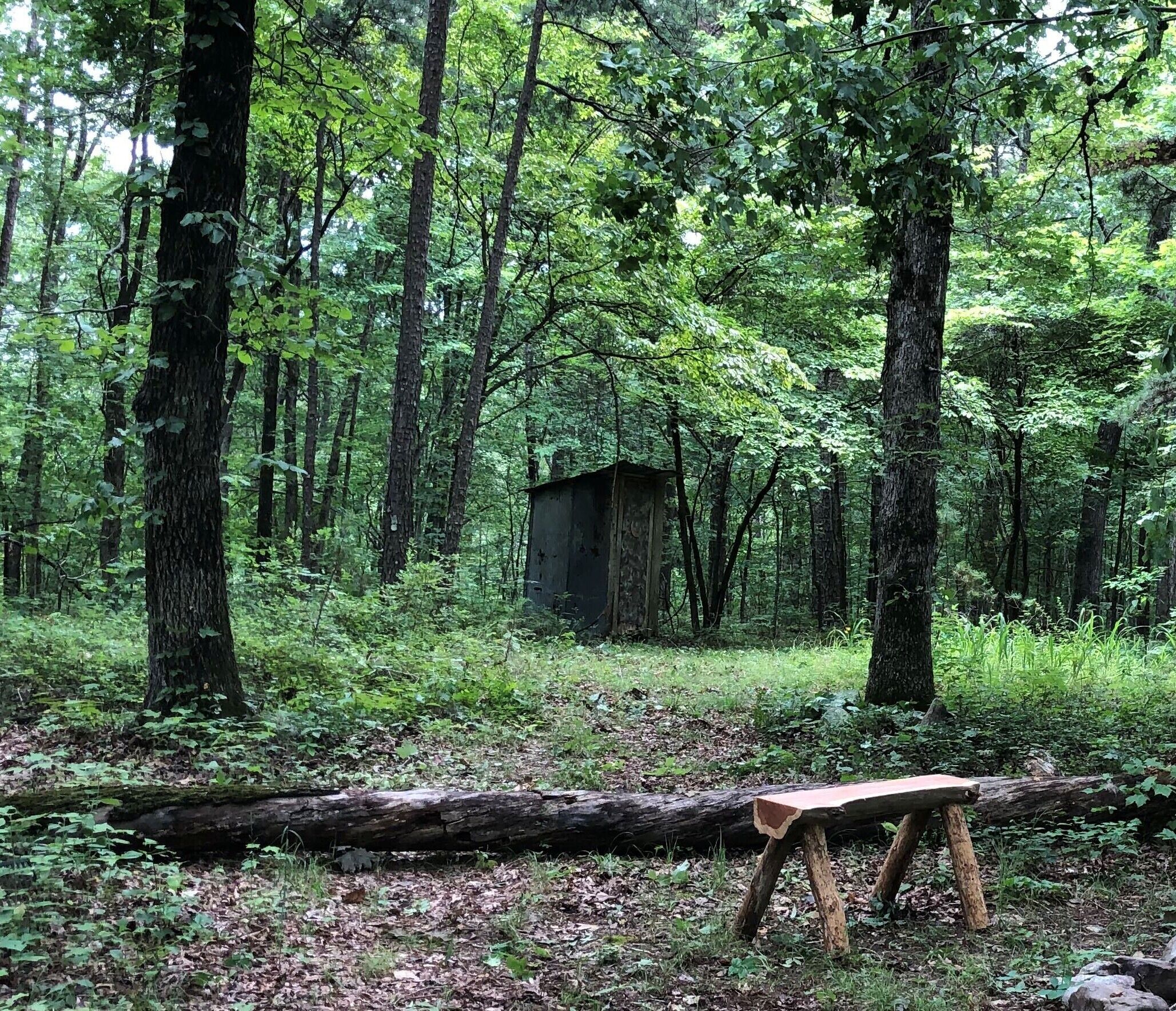 Family Cabin, 2 Bedrooms, Hill View | Bathroom | Shower, free toiletries, towels, soap