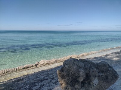 Bayfront Beauty 