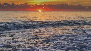 Plage, chaises longues, serviettes de plage