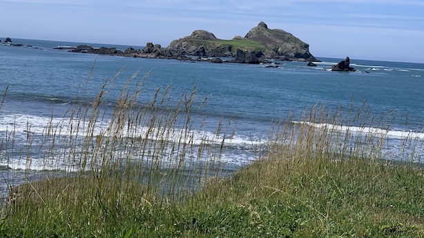 A coastal landscape with a prominent rocky island and grassy foreground. - Taylor II House, ocean view, close to everything (Crescent City)