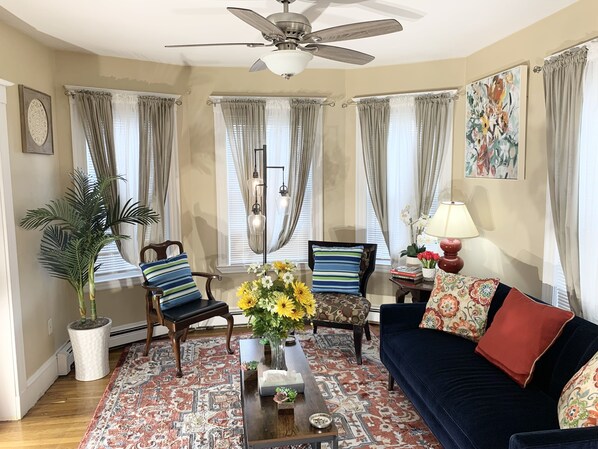 Smart TV, DVD player, books