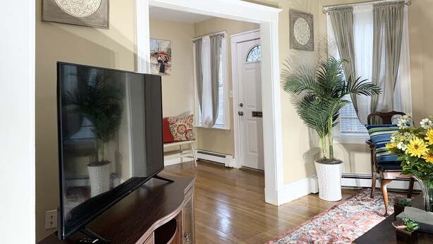 Uma sala de estar com televisão de tela plana em um suporte de madeira, uma planta em vaso, uma cadeira com almofada listrada e um tapete estampado.