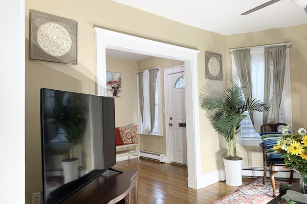 Smart TV, DVD player, books