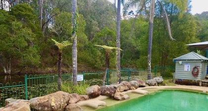 Blokhus - a stunning treetop retreat immersed in nature