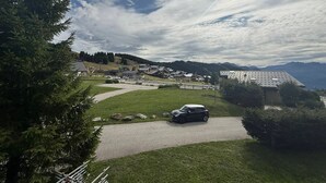 A rural landscape with a car parked on a driveway, surrounded by greenery and a small building with a sloped roof.