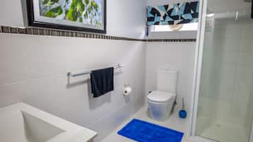 Shower, hair dryer, towels, soap