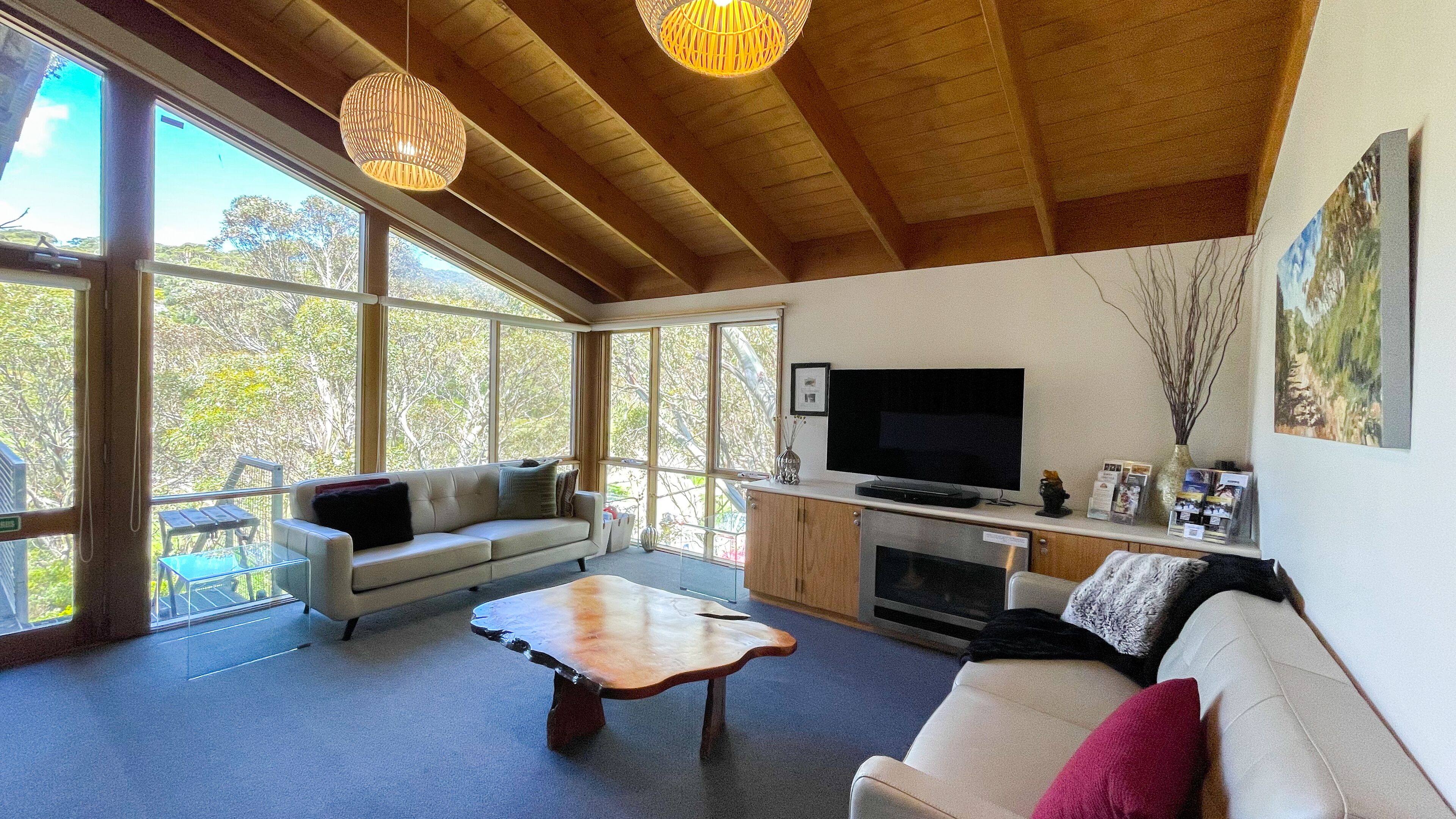 Smart TV, fireplace, Netflix, streaming services