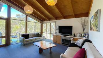 Smart TV, fireplace, Netflix, streaming services