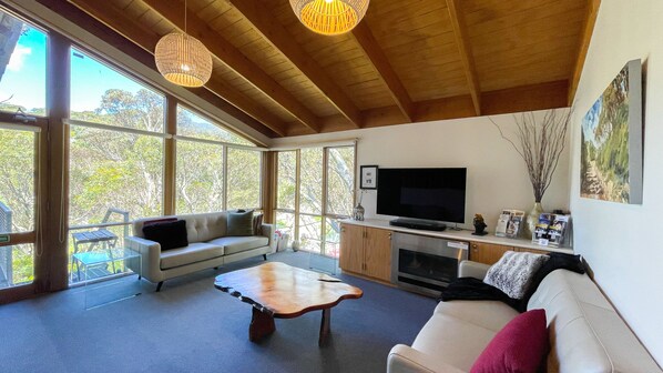 Smart TV, fireplace, Netflix, streaming services