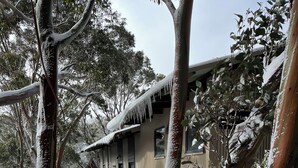 Ein Haus, umgeben von schneebedeckten Bäumen und Sträuchern.