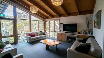 TV connectée, cheminée