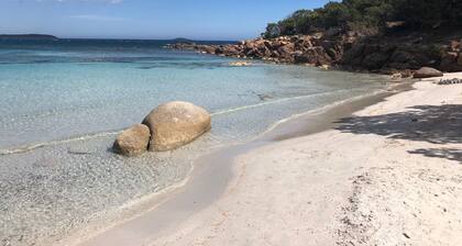 Magnificent sea view villa 500m from the beach and 10min from Porto-Vecchio