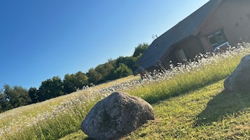 Cabin | Property grounds