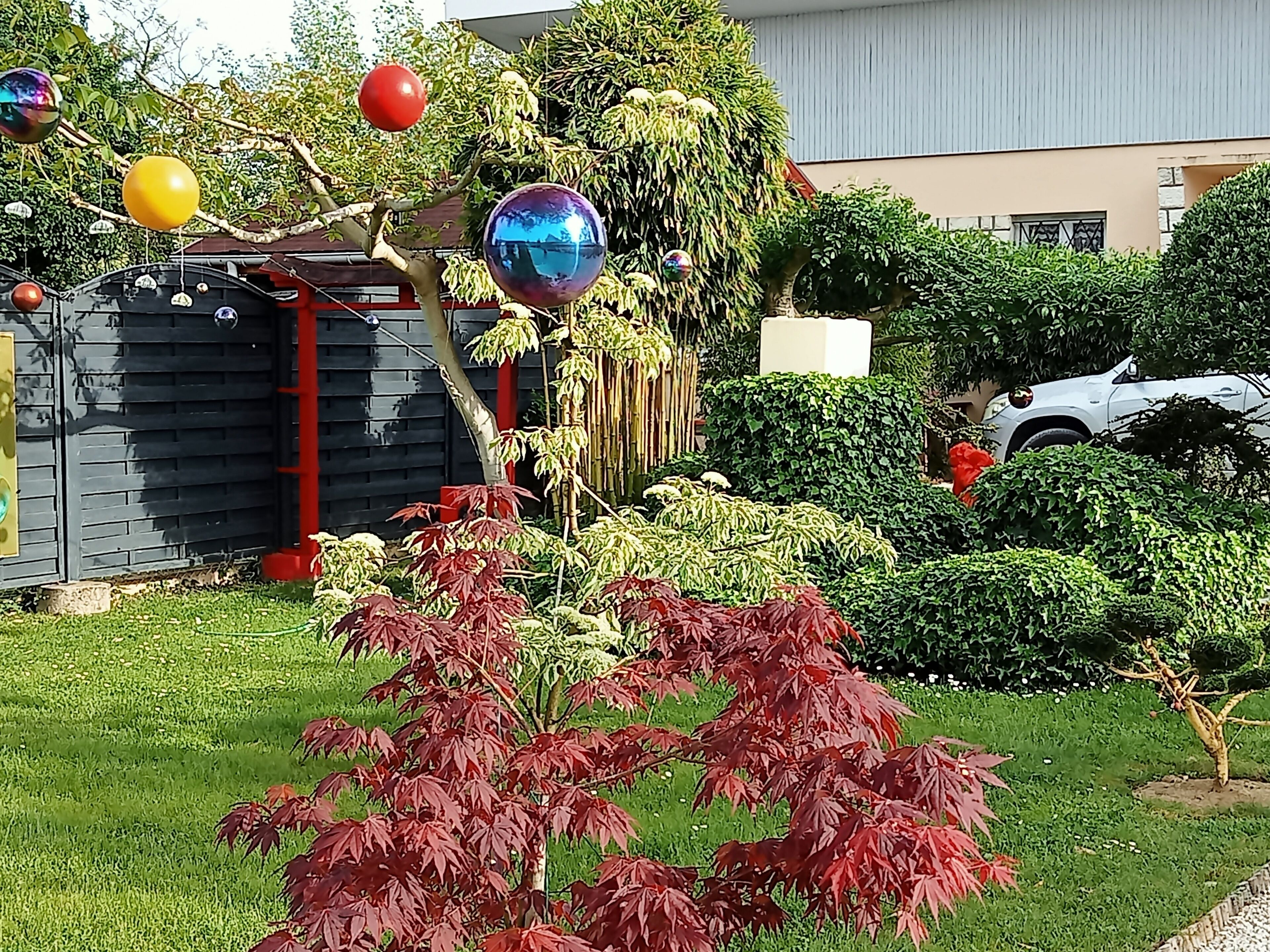 Un giardino con arbusti dal fogliame rosso, un albero decorato con ornamenti sferici appesi e un edificio sullo sfondo.