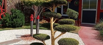 St Emilion a 10 minutos Un descanso en algún lugar del jardín de arces y niwaki